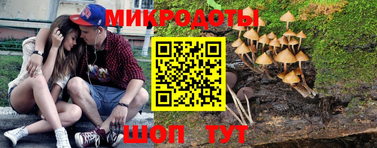 Сунжа  купить наркоту  Вход с VPN  Псилоцибиновые грибы Magic Shrooms 
