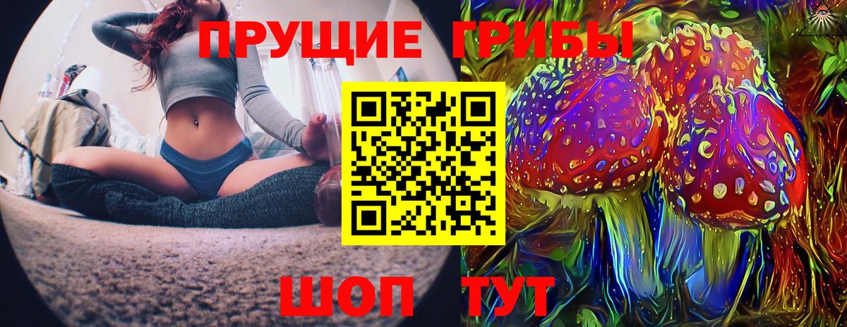 Псилоцибиновые грибы Psilocybine cubensis Сунжа