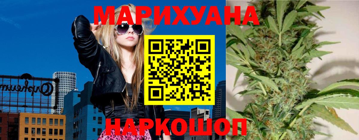 Конопля семена  Вход с VPN  Бошки Шишки THC 21%  Сунжа 